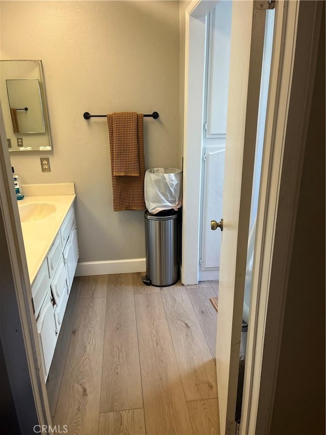 bathroom featuring vanity and wood-type flooring