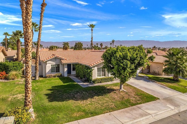 ranch-style house featuring a mountain view and a front lawn