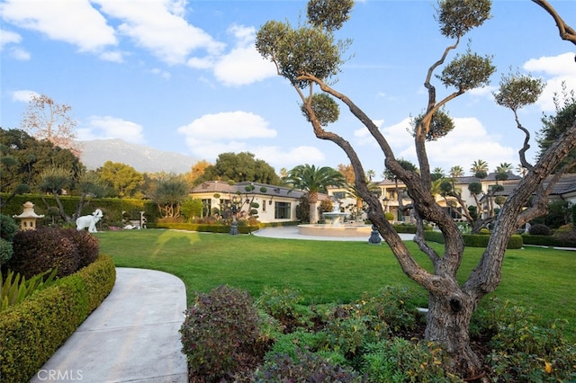 view of yard featuring a mountain view