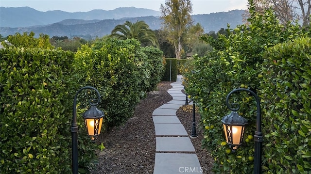 view of yard featuring a mountain view