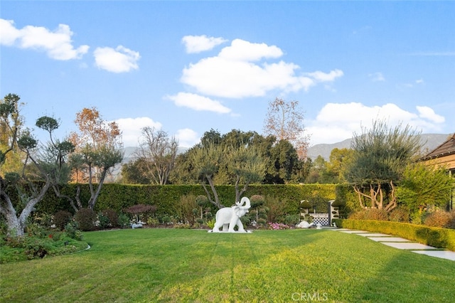 view of yard featuring a mountain view