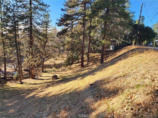 30696 Ferndale Dr, Running Springs CA, 92382 land for sale