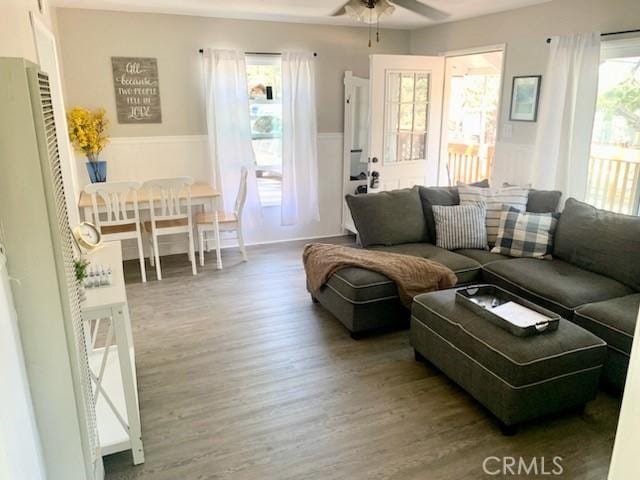 living room featuring ceiling fan and hardwood / wood-style floors