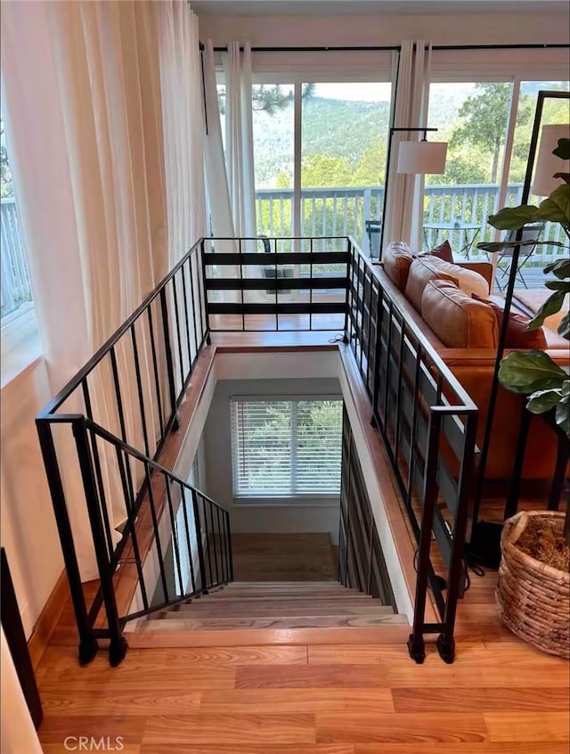 staircase featuring hardwood / wood-style floors