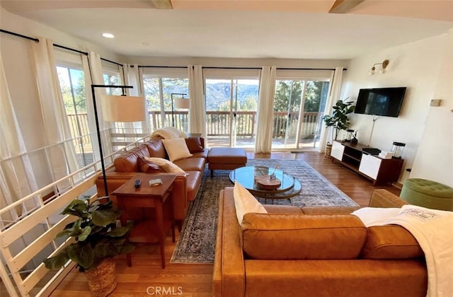 living room with wood-type flooring