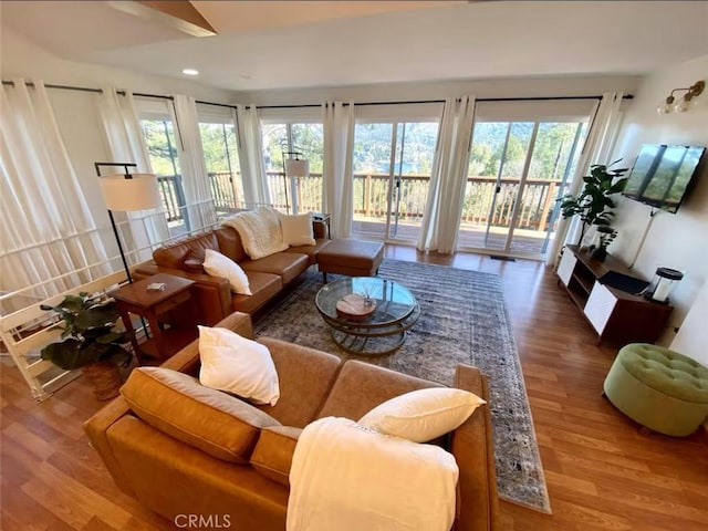 living room with hardwood / wood-style floors