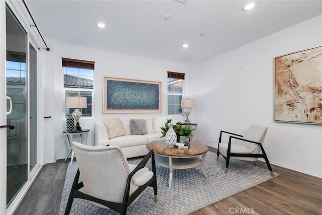 living room with dark hardwood / wood-style flooring