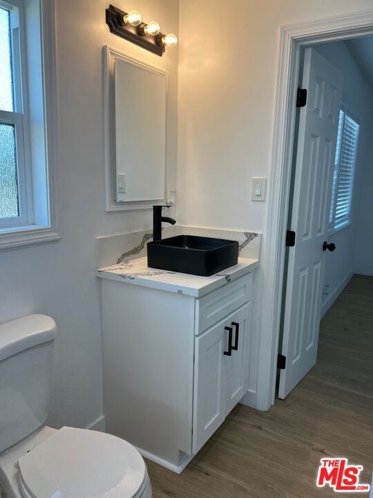 bathroom featuring wood-type flooring, toilet, and vanity