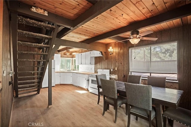 dining room with ceiling fan, sink, beamed ceiling, wooden walls, and light hardwood / wood-style flooring