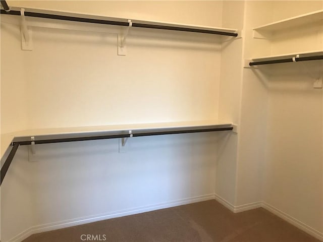 spacious closet featuring dark carpet