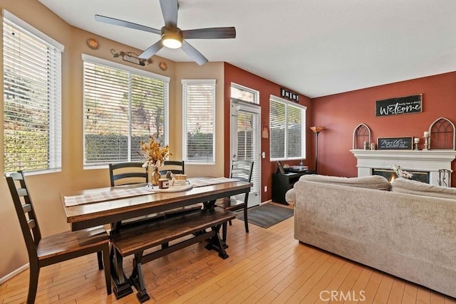 dining room with ceiling fan, a healthy amount of sunlight, and light wood-type flooring