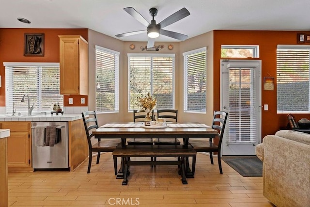 dining area featuring ceiling fan, sink, and light hardwood / wood-style floors