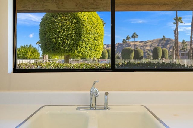 interior details with a mountain view and sink