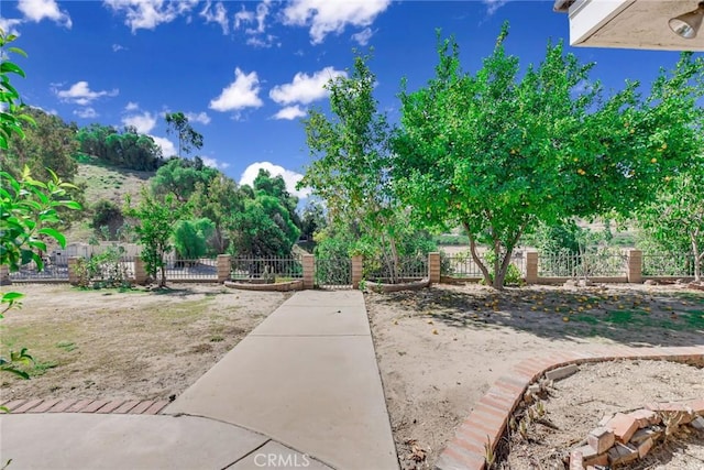 view of yard with a patio