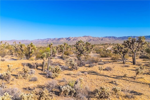 property view of mountains