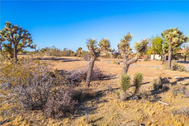 view of nature featuring a rural view