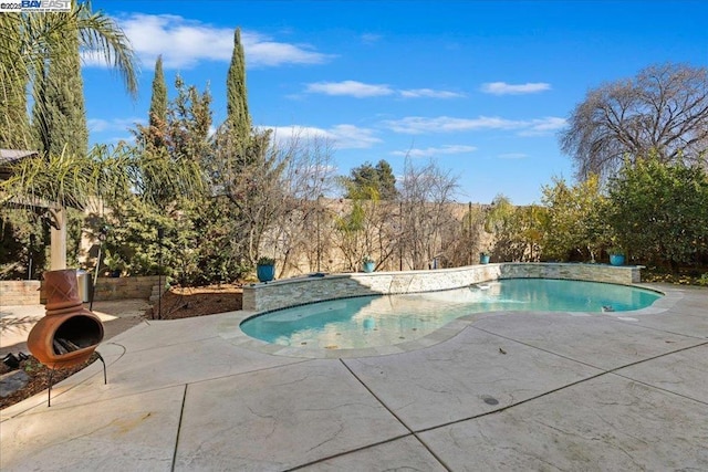 view of pool with a patio