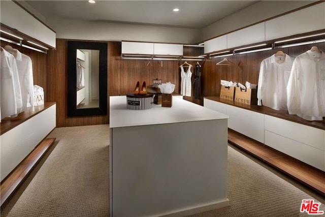 spacious closet with light colored carpet and a wall mounted air conditioner