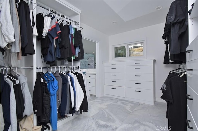 view of walk in closet