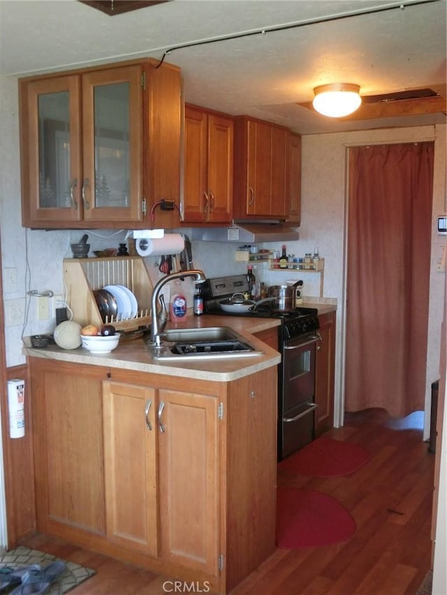 kitchen with range, dark hardwood / wood-style floors, and sink