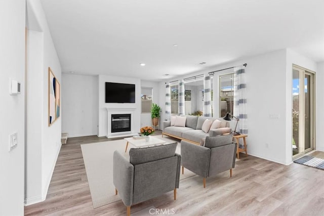 living room featuring light hardwood / wood-style floors