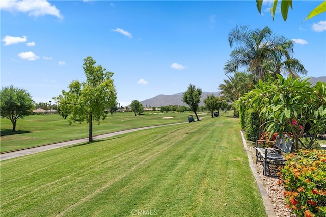 view of home's community with a mountain view and a lawn