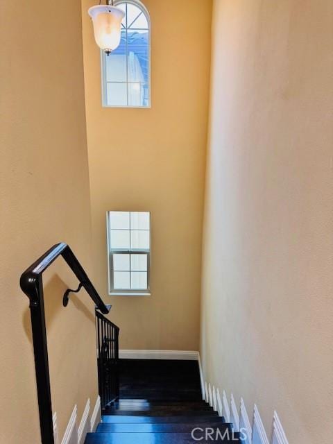 staircase featuring wood-type flooring