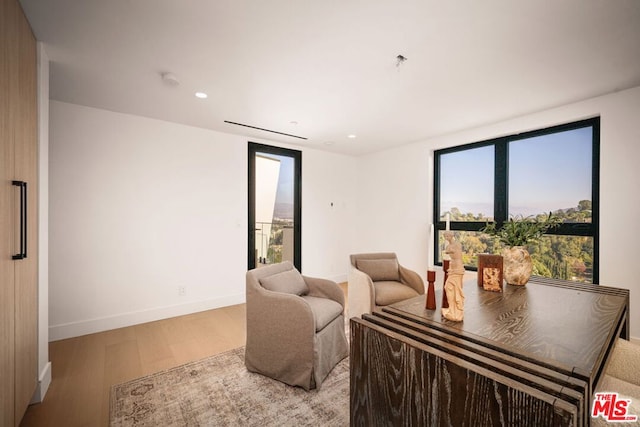 living room featuring light hardwood / wood-style flooring