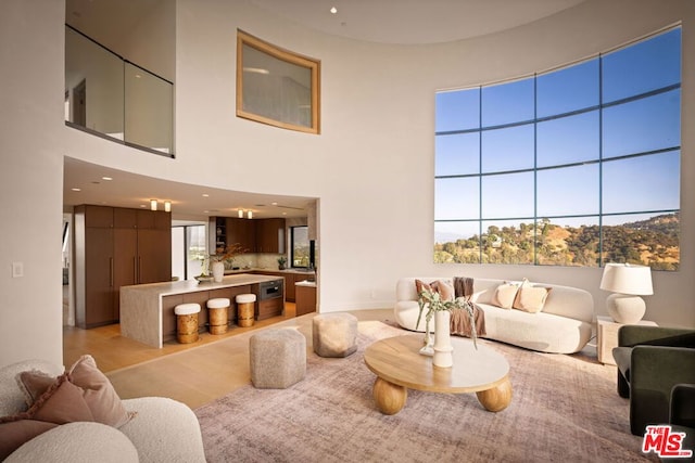 living room featuring a towering ceiling