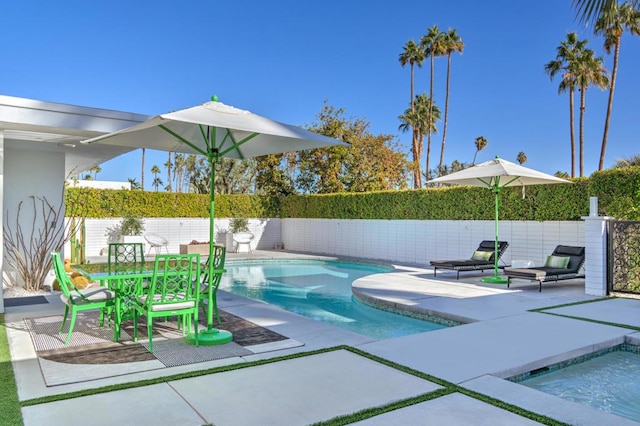 view of pool featuring a patio