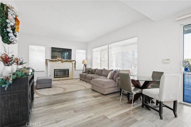 living room with light wood-type flooring