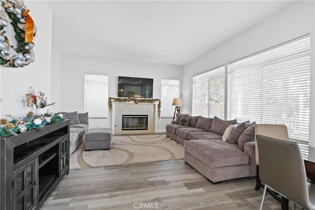 living room featuring light hardwood / wood-style floors