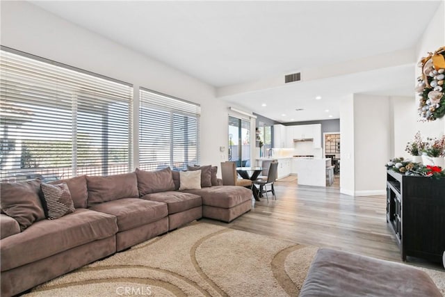 living room with light wood-type flooring