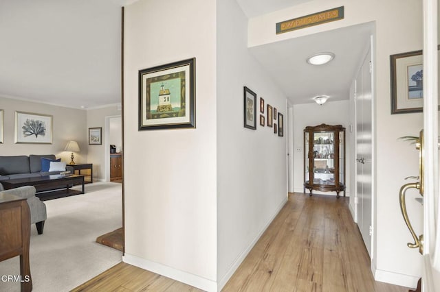 hallway with crown molding and light hardwood / wood-style floors