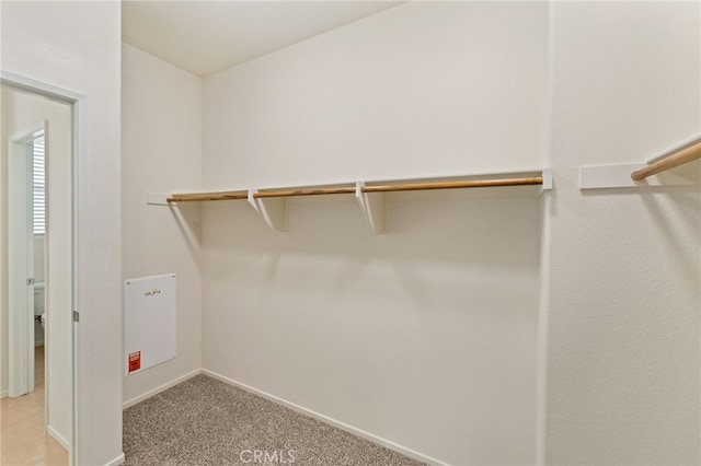 walk in closet with light colored carpet