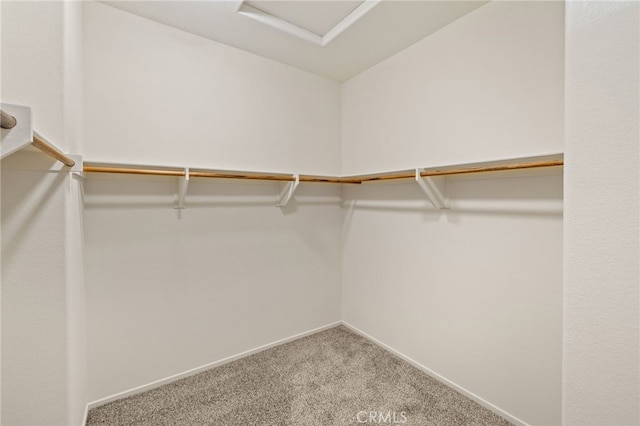 walk in closet with carpet and vaulted ceiling