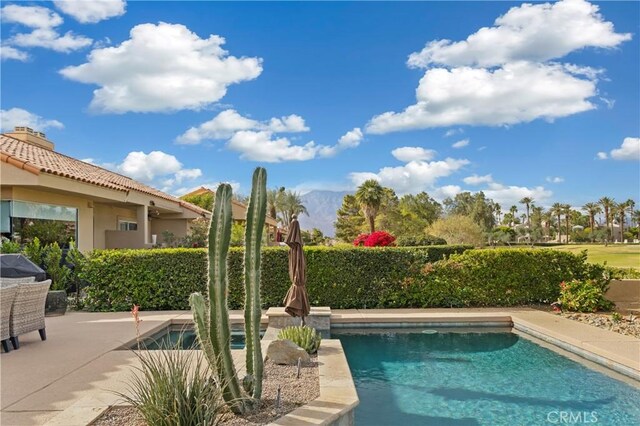 view of pool featuring a patio