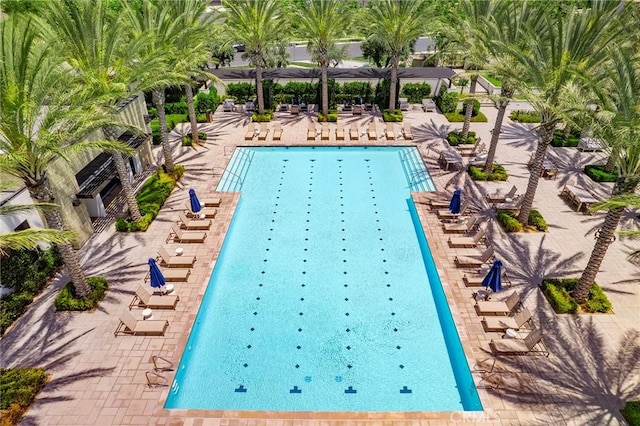 view of swimming pool featuring a pergola and a patio area