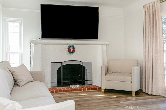 living room with crown molding and wood-type flooring