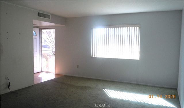 empty room featuring carpet flooring and plenty of natural light