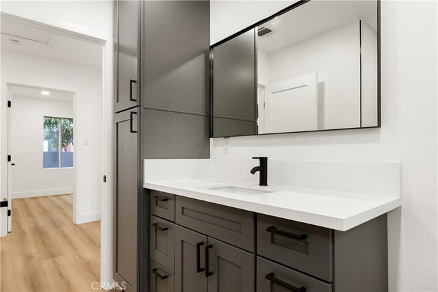 bathroom with hardwood / wood-style floors and vanity