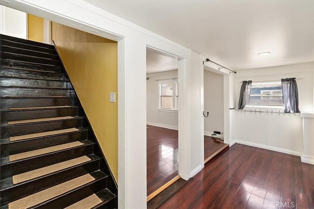 stairs featuring wood-type flooring and a healthy amount of sunlight