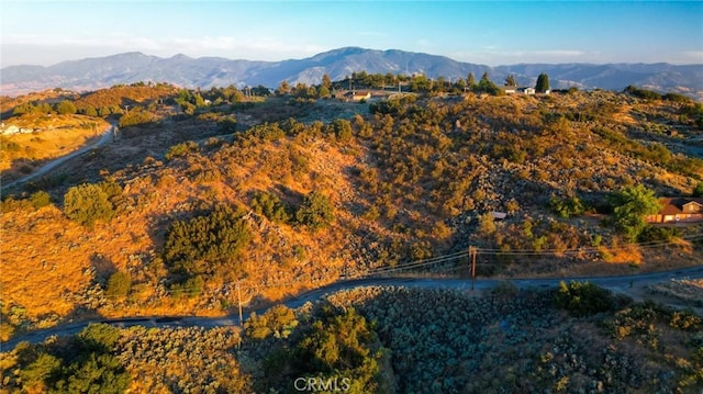 0 Amberwood Ct, Tehachapi CA, 93561 land for sale