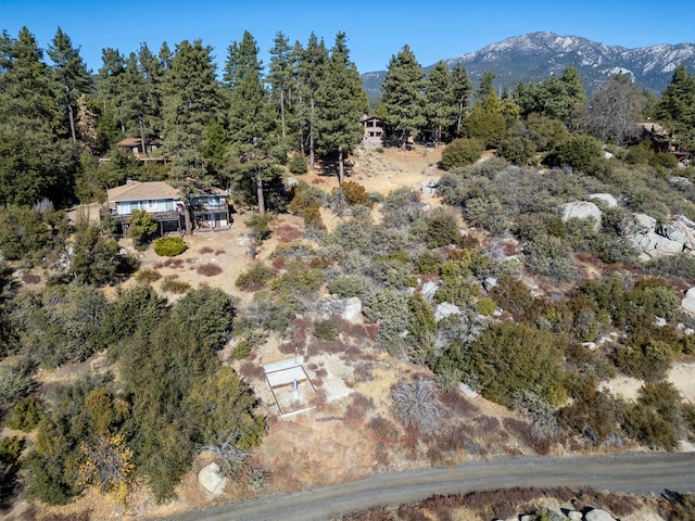 Listing photo 3 for 0 Lookout Ln, Idyllwild CA 92549