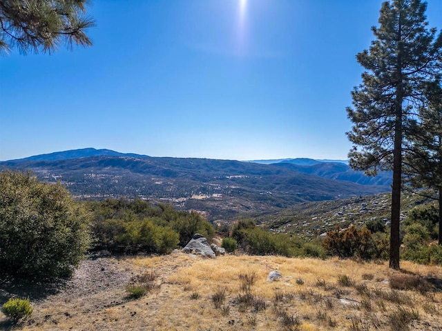 0 Lookout Ln, Idyllwild CA, 92549 land for sale