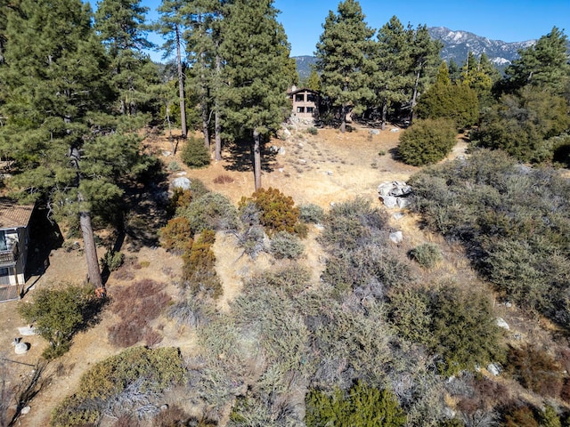 Listing photo 2 for 0 Lookout Ln, Idyllwild CA 92549