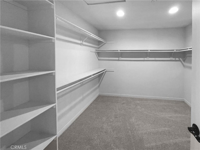 spacious closet with carpet