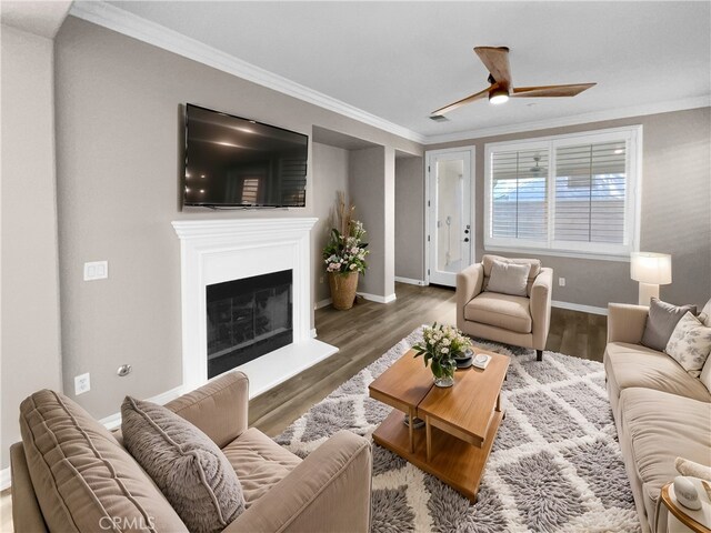 living room with ceiling fan, dark hardwood / wood-style flooring, and crown molding