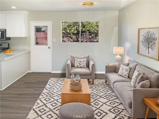 living room featuring dark hardwood / wood-style floors