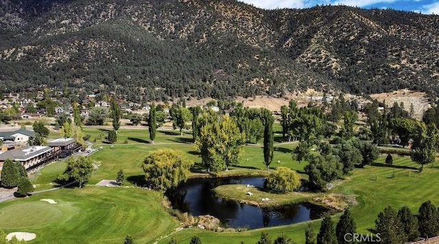 13924 Yellowstone Dr, Pine Mountain Club, CA 93225 - photo 54